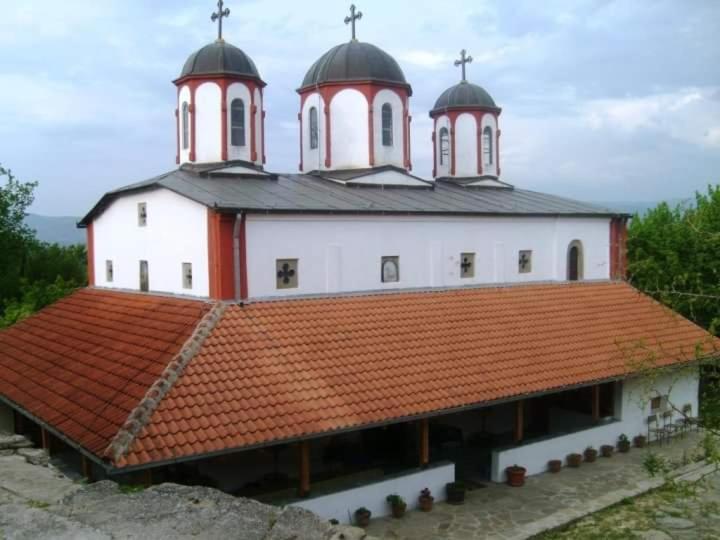 Villa Radica Negotino  Exteriér fotografie